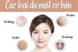 các loại da mặt cơ bản