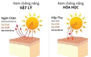 cách chọn kem chống nắng phù hợp với từng loại da