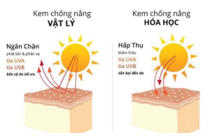 kem chống nắng vật lý và hóa học